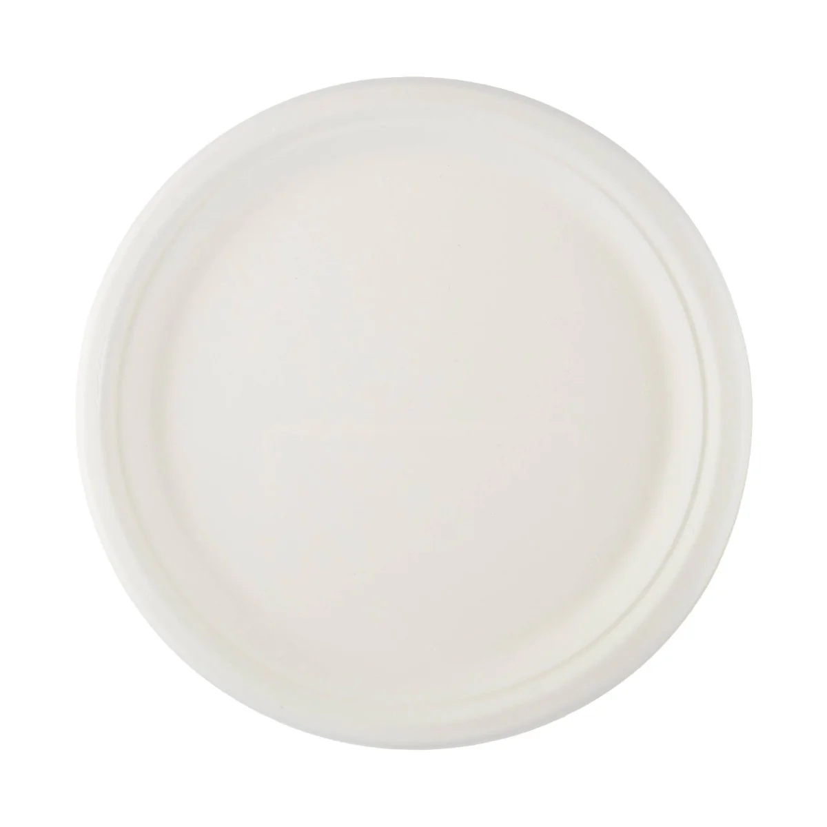Bio-Degradable Plate 10 Inch 500 Pieces
