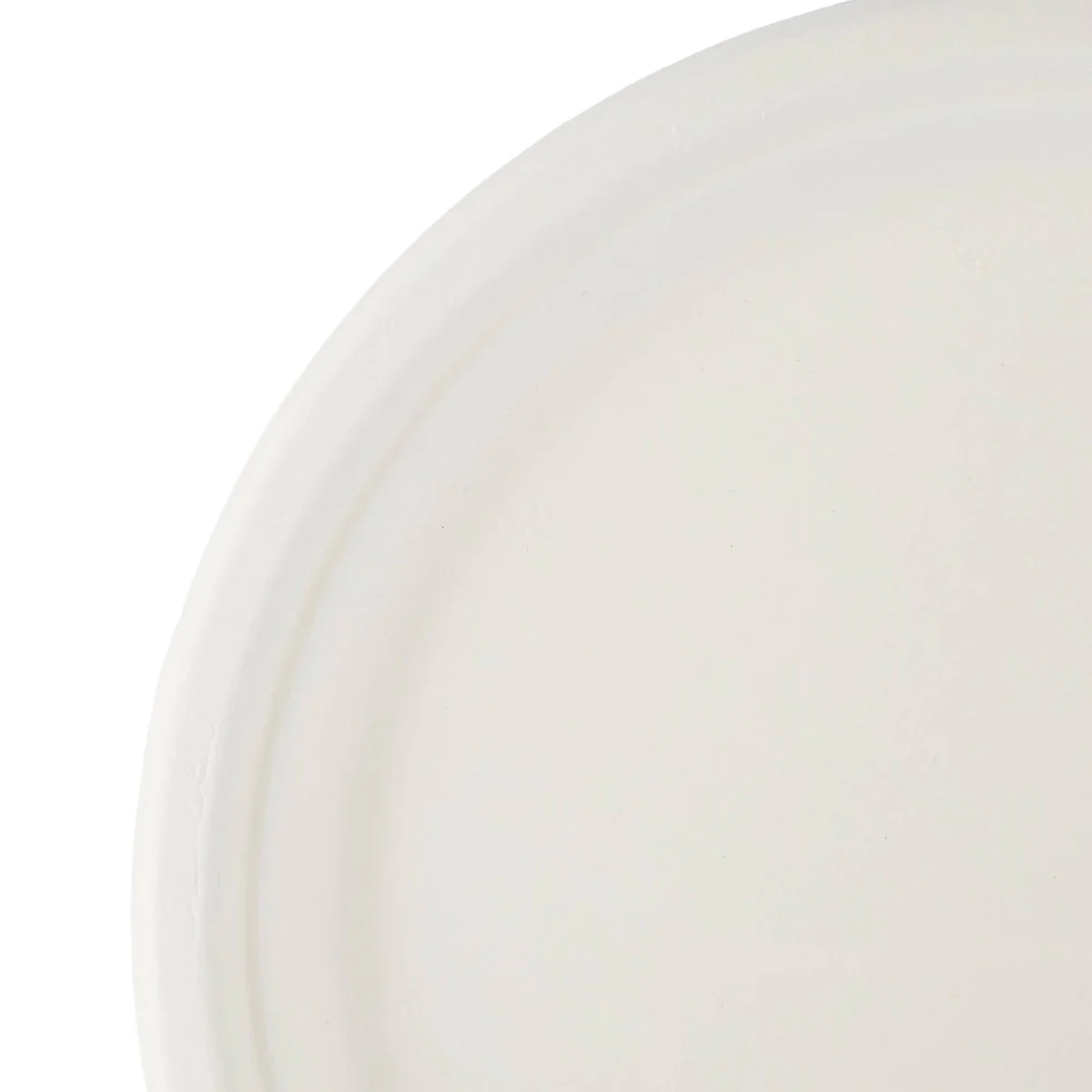Bio-Degradable Plate 10 Inch 500 Pieces - Image 2