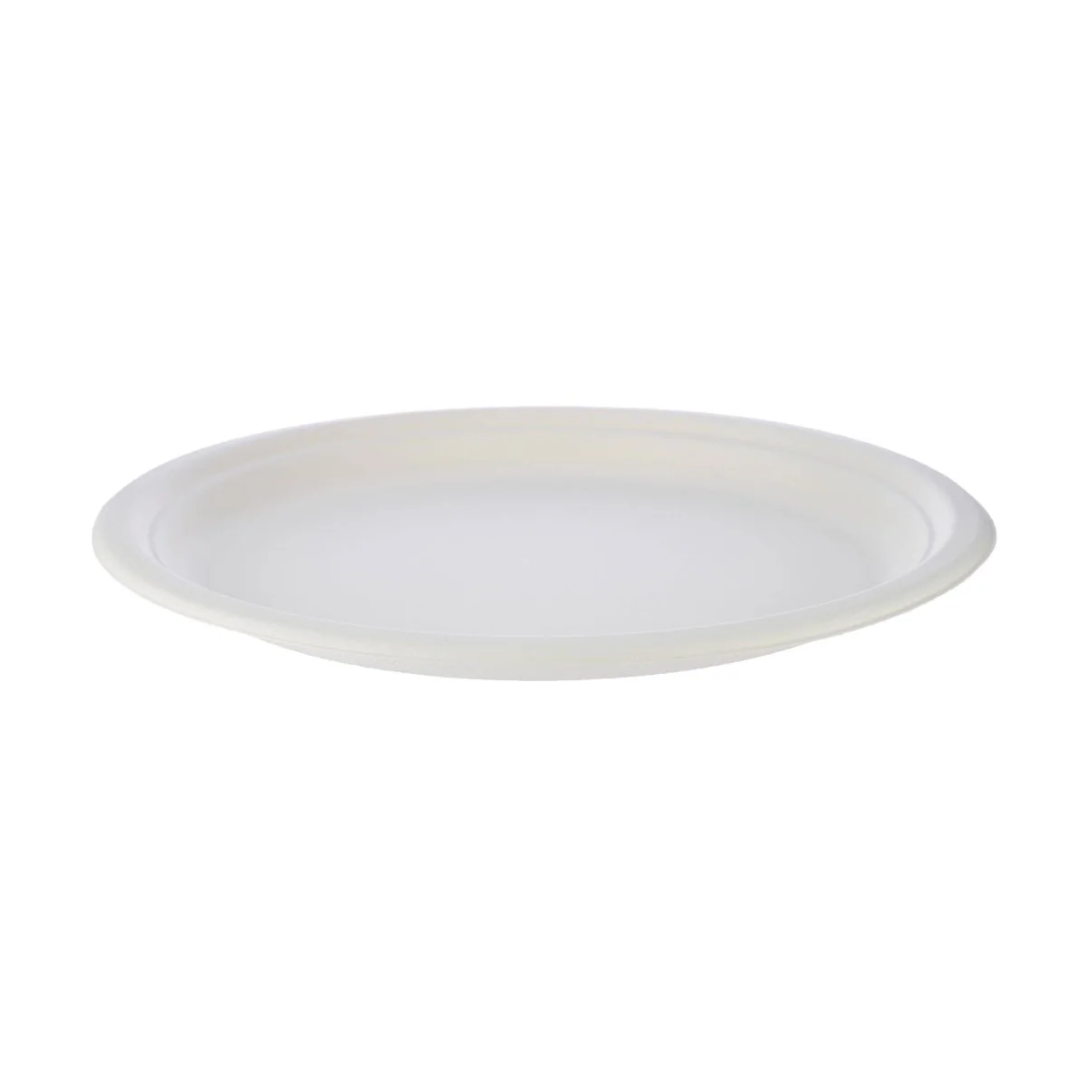 Bio-Degradable Plate 10 Inch 500 Pieces - Image 3