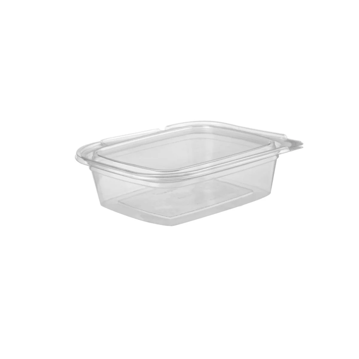 Hinged Square Deli Clear PET Container - Image 14