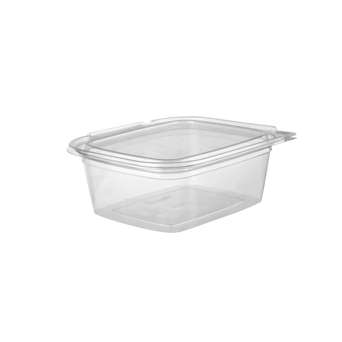 Hinged Square Deli Clear PET Container - Image 22