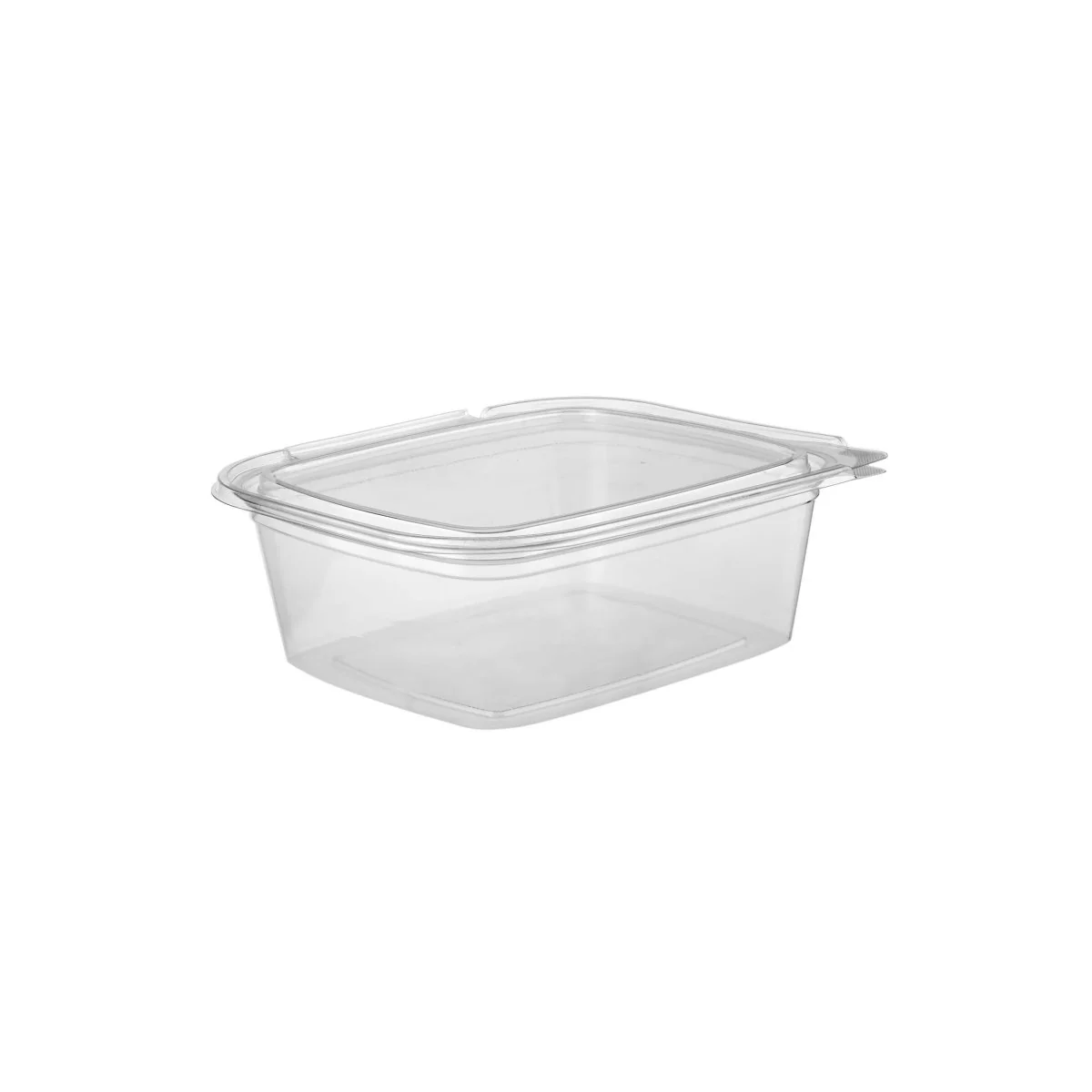 Hinged Square Deli Clear PET Container - Image 26