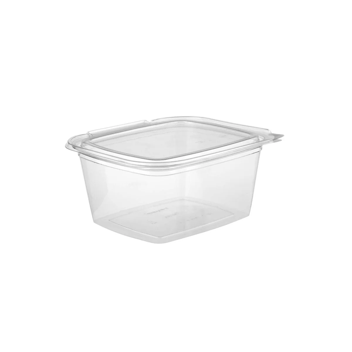 Hinged Square Deli Clear PET Container - Image 31