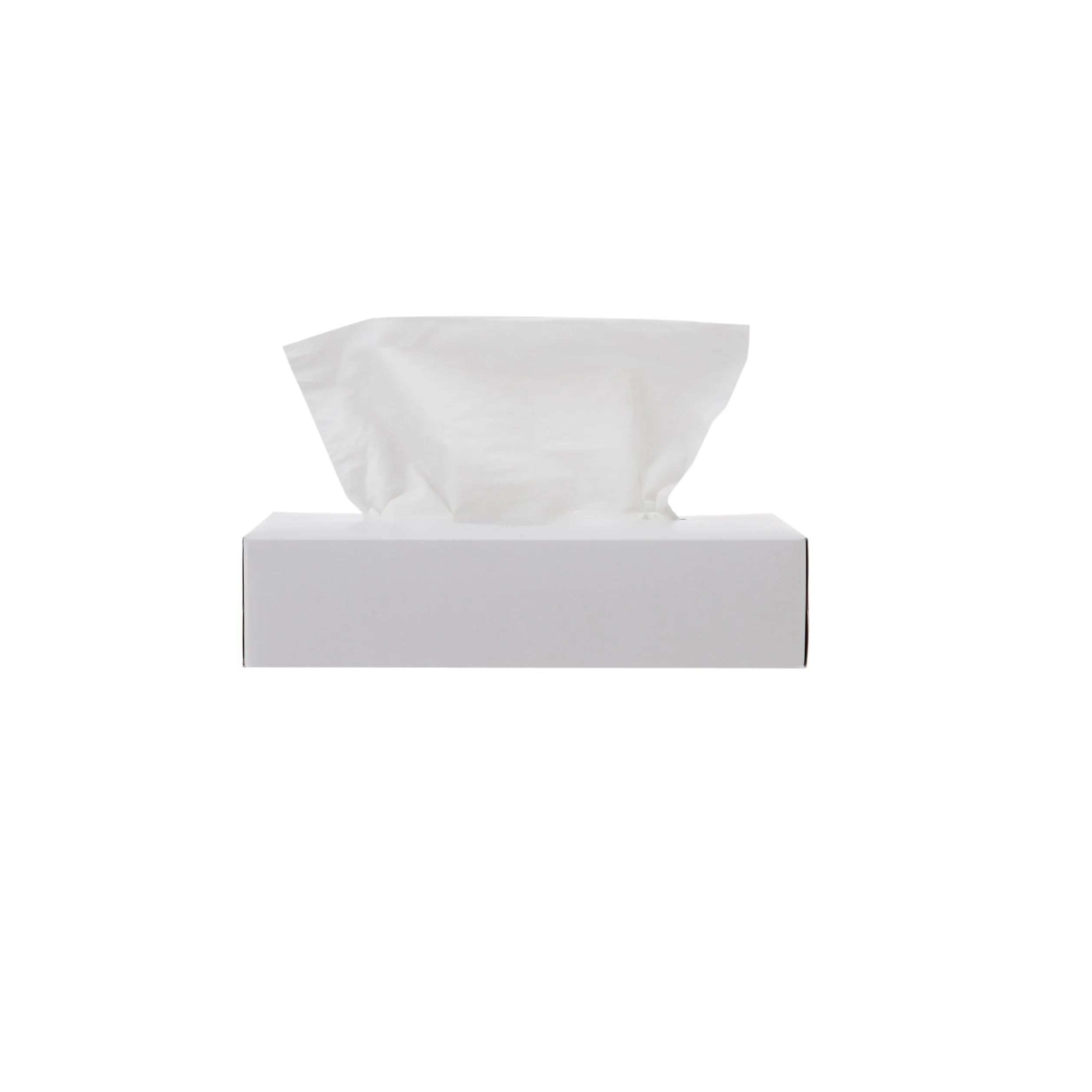 Snow White Tissue 2 Ply x 80 Sheets - Image 11