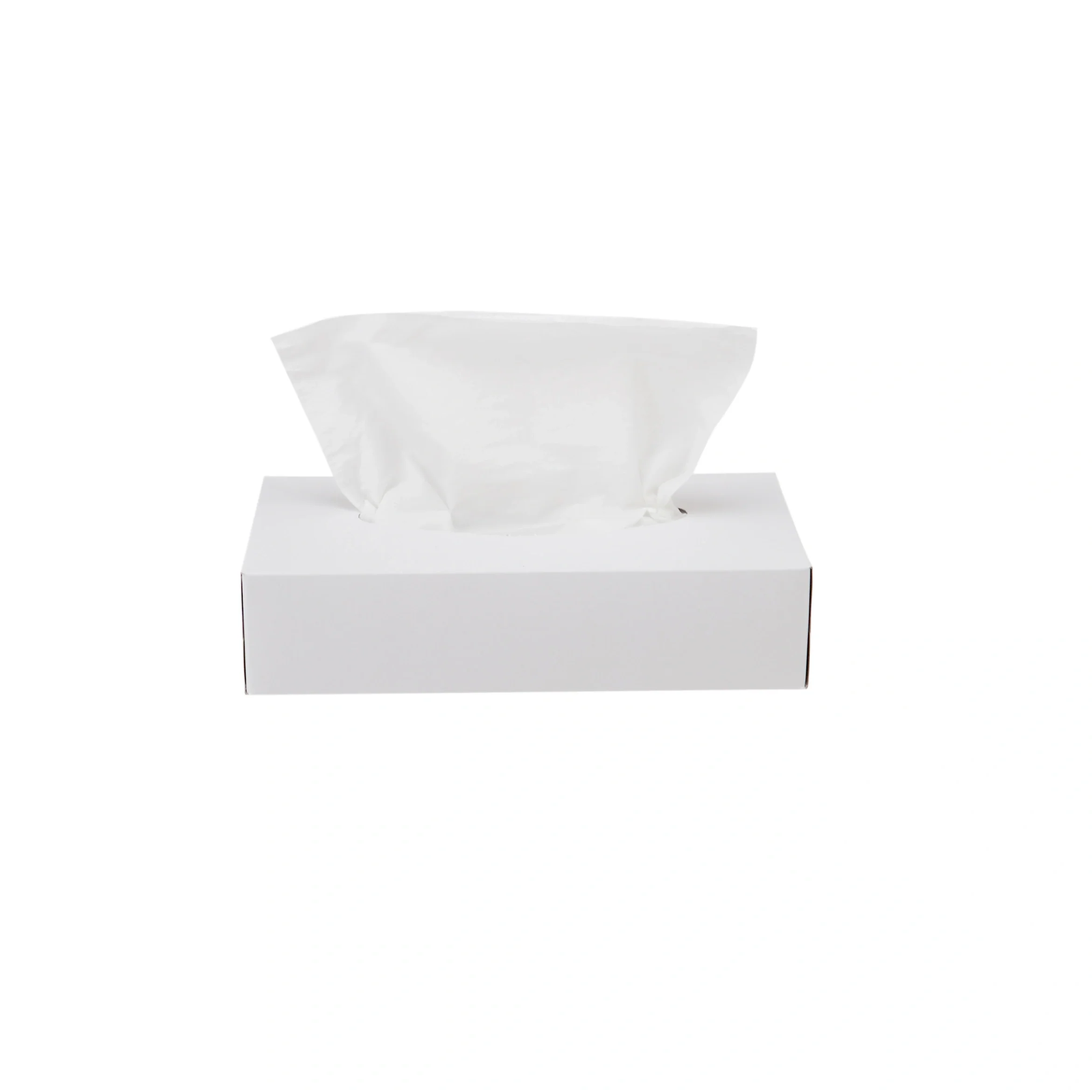 Snow White Tissue 2 Ply x 80 Sheets - Image 12