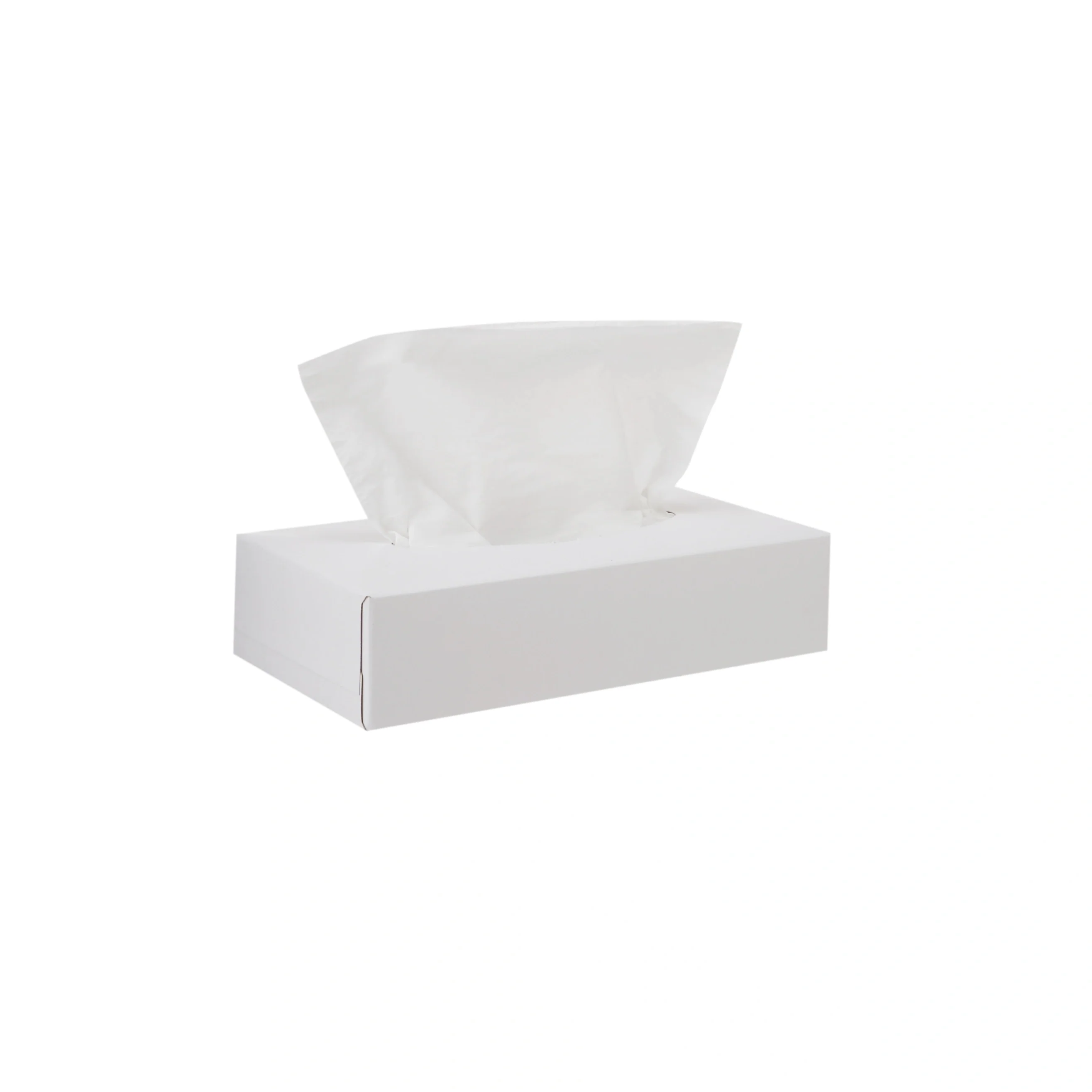 Snow White Tissue 2 Ply x 80 Sheets - Image 5