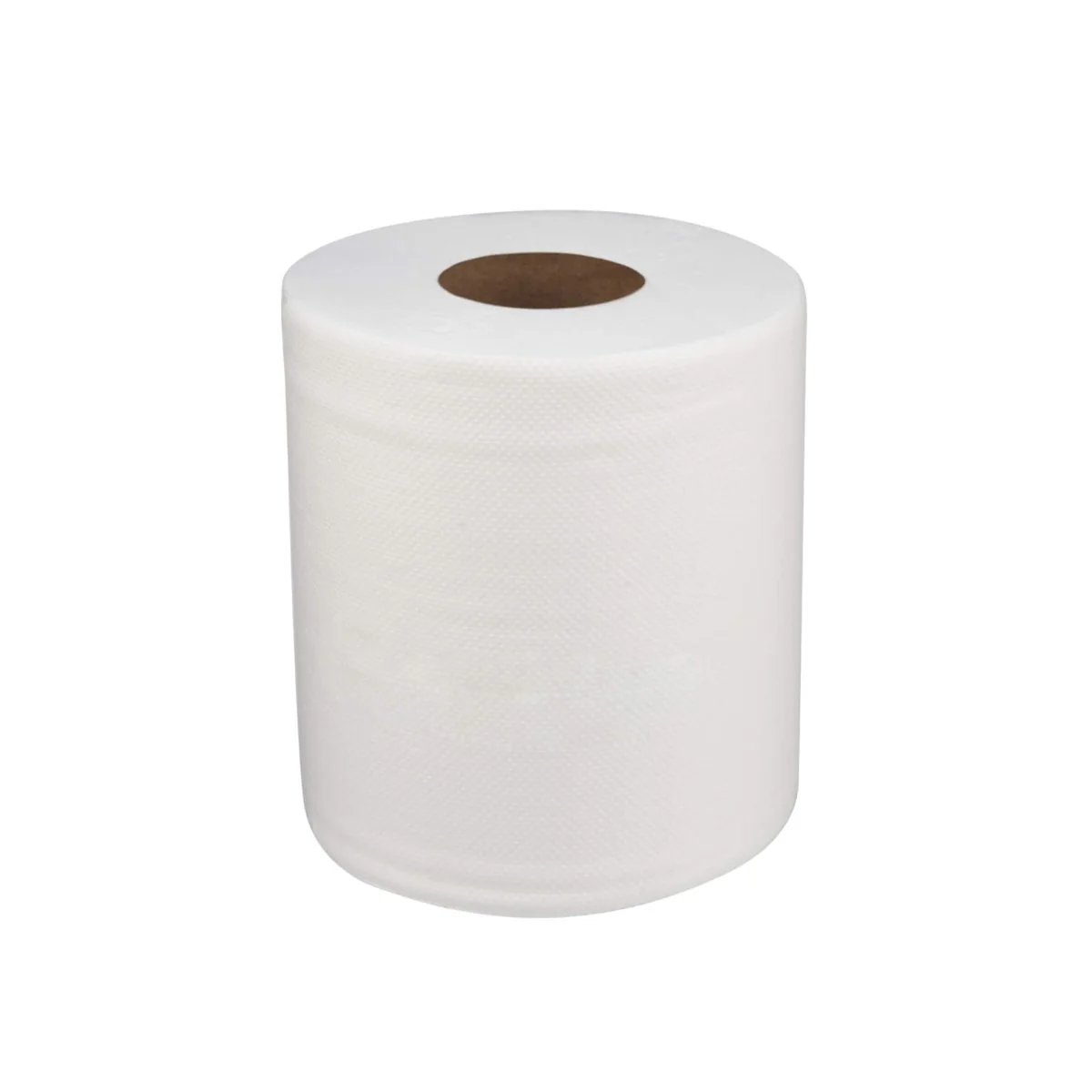 Soft n Cool Maxi Roll 2 Ply 6 Pieces - Image 9