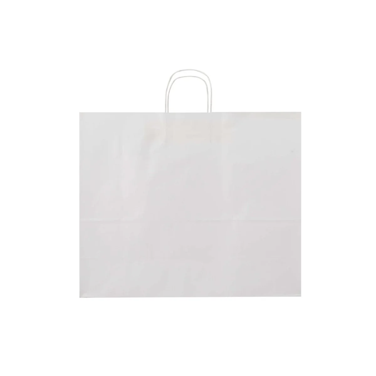 White Twisted Handle Paper Bag - Image 29